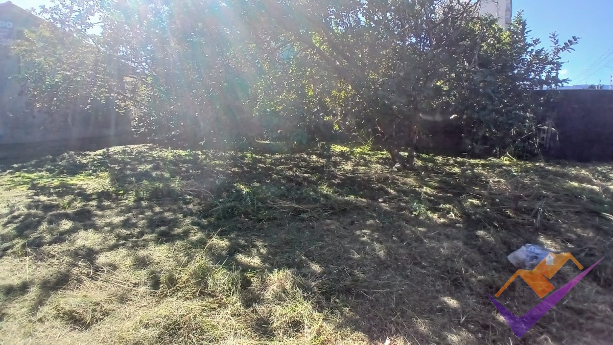 Casa, 4 quartos, 295 m² - Foto 4