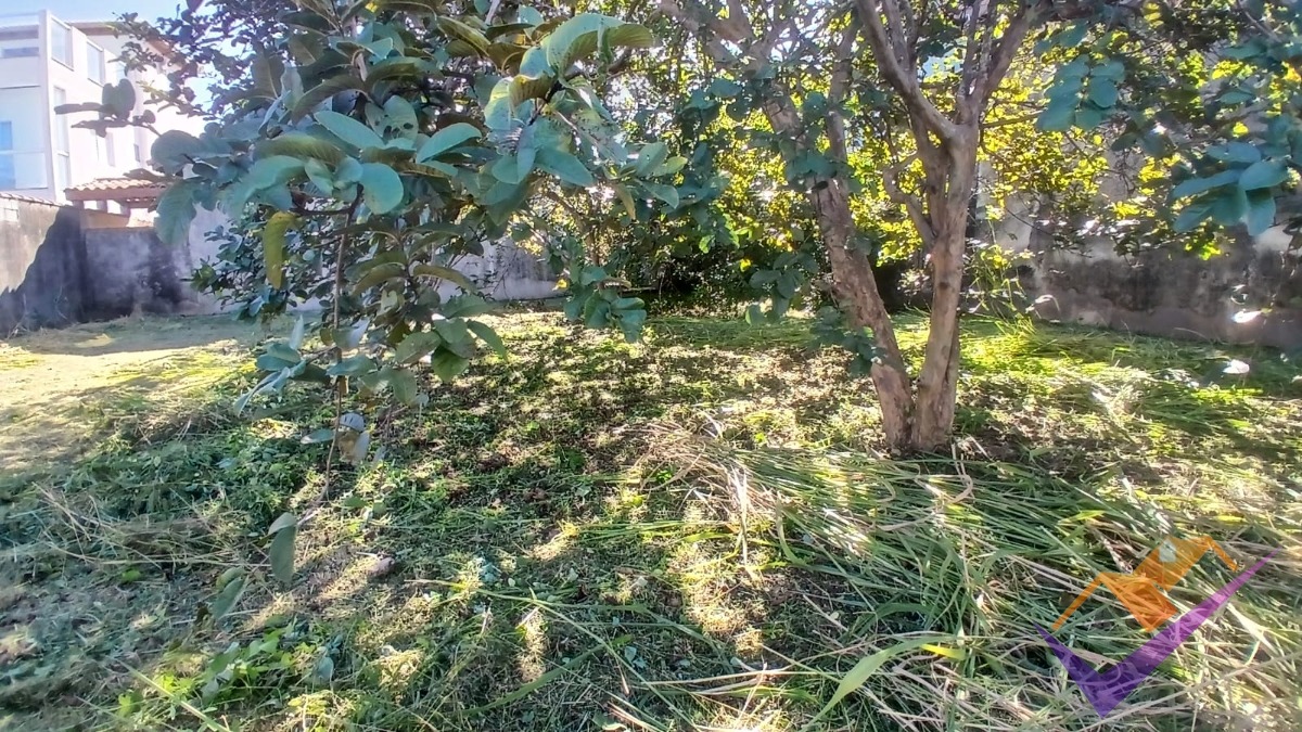 Casa, 4 quartos, 295 m² - Foto 5