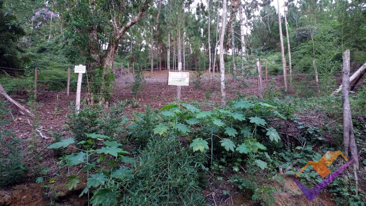 Terreno à venda de 364m², portal da fazendinha, caraguatatub
